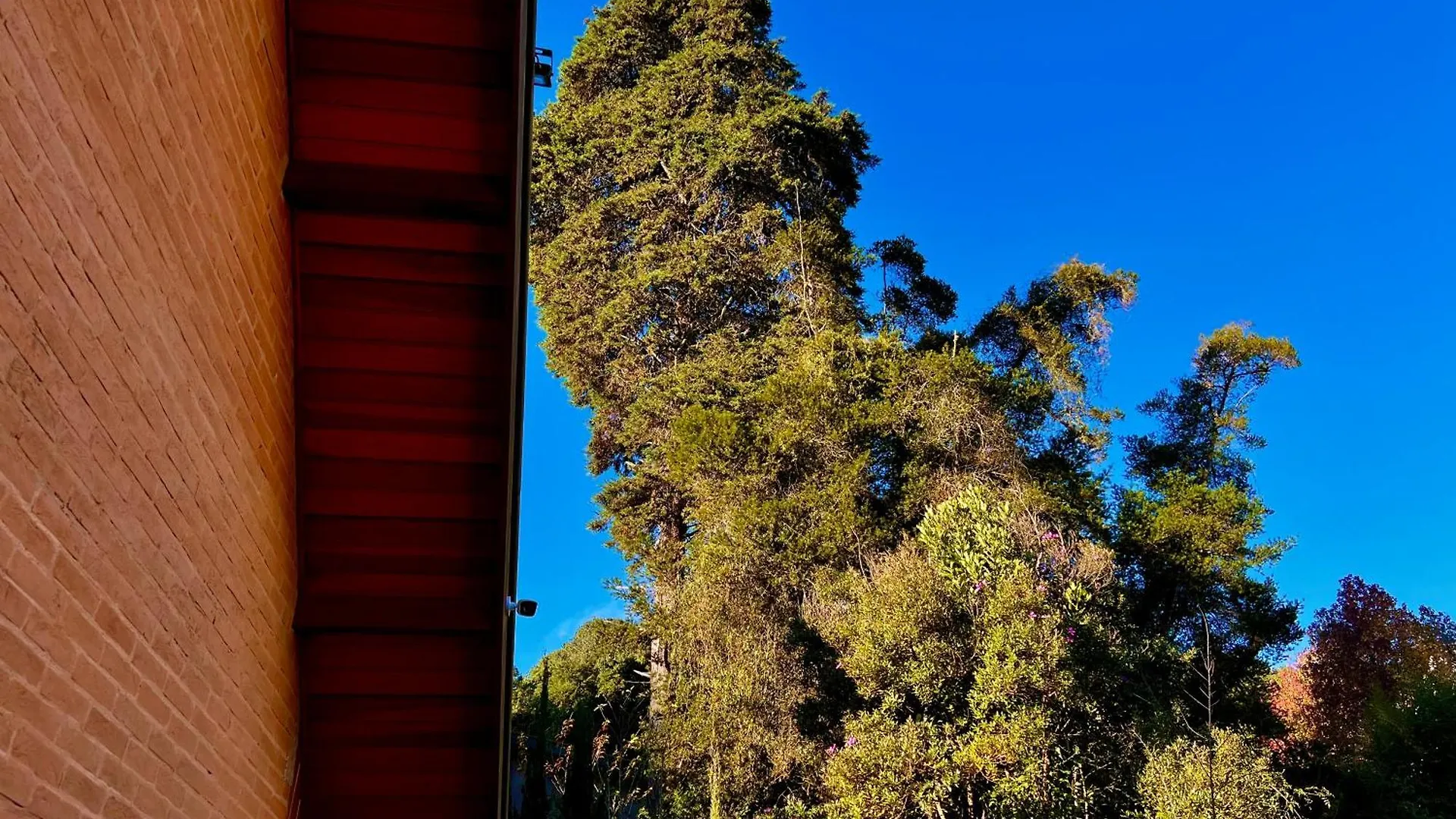 Bed & Breakfast Guesthouse Di Paolo By Concavus Campos do Jordao